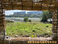 -华侨城湿地公园