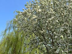 -元大都城垣遗址公园