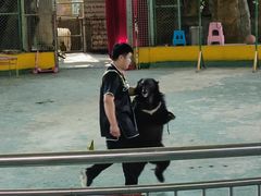 -泉州海丝野生动物世界