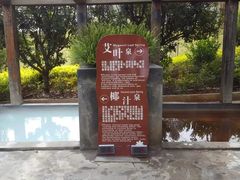 -华侨城阳宗海海景温泉