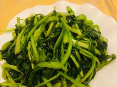 时令蔬菜-君豪蟹都·湖景·农家乐(蟹舫苑店)