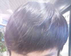 -付军剪艺