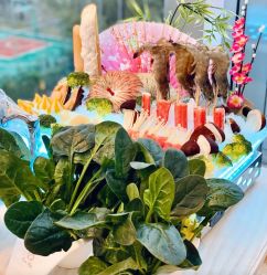 -馨月汇·一悦馨香月子中心(前滩店)