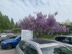 -北京京宝行宝马4S店(闵庄路店)