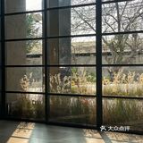 广州新店｜大锅！钟村来·回·Living已经踩好点 巨好拍！