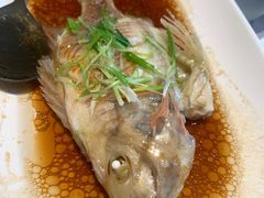 清蒸东海红眉鱼-徐记海鲜(南油永新汇店)