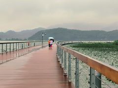 -东钱湖旅游度假区