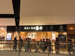 -台场海滨公园船码头