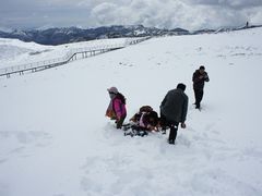 香格里拉的第一场雪-第三极国际青旅(独克宗古城店)