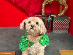 -华谊兄弟（长沙）电影小镇