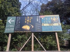-东京国立博物馆