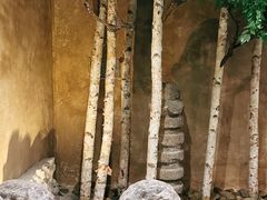 -姗娜娜足道·SPA(古北店)