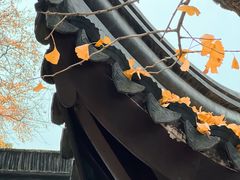 -上海醉白池公园