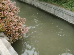 -西湖游船