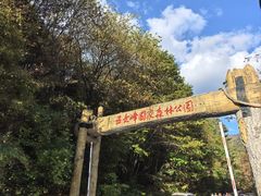 -五女峰国家森林公园