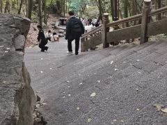 -普陀山风景区-佛顶山