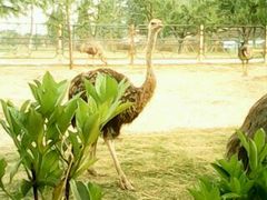 android_upload_pic-柳树湾风景区