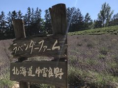 -富田农场