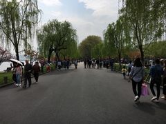 -苏堤停车场