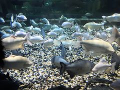 -成都浩海立方海洋公园