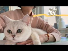 -猫大福·Fortune Cat猫舍(百子湾店)