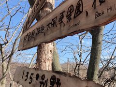-大连北马山庄