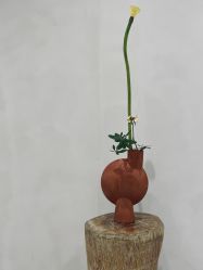 -今日陶艺(富力广场店)