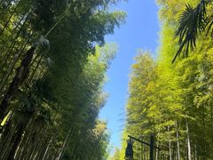 -黄公望隐居地