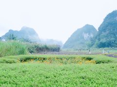 -靖西鹅泉风景区