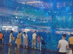 -成都浩海立方海洋公园