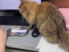 -宠颐生宠物医院·心肾内科·猫专科诊疗中心宠巢店