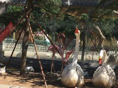 -栾川竹海野生动物园