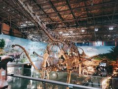 -西峡恐龙遗迹园