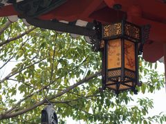 -广东花都湖国家湿地公园