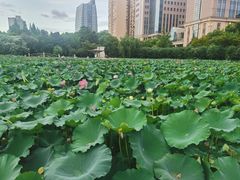 -黄兴公园
