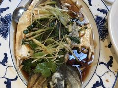 -三峡人家