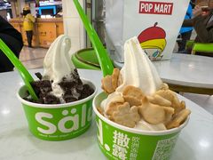 -Salud撒露欧洲冻酸奶(五道口购物中心店)