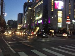 -乐天免税店(明洞店)