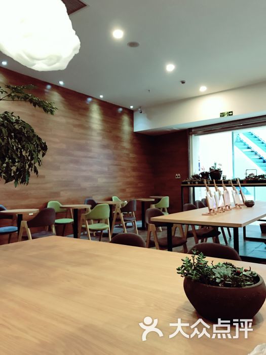 丽缇茶饮 lily tea 图片