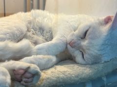 -乐宠宠物店(世纪金源店)