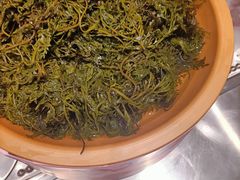 -龍歌自助小火锅(市南金茂湾店)