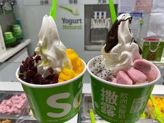 -Salud撒露欧洲冻酸奶(蓝色港湾店)