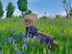 -白鹭湾湿地公园