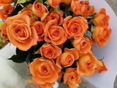 -秦美花卉(天朗·莱茵小城2期店)