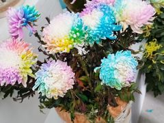 -陶然亭公园南门停车场