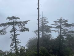 -瓦屋山景区