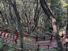 -大岭沟猕猴桃谷风景区