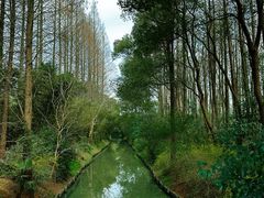 -同里国家湿地公园
