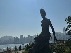 -星光大道