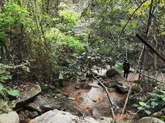 -火炉山森林公园